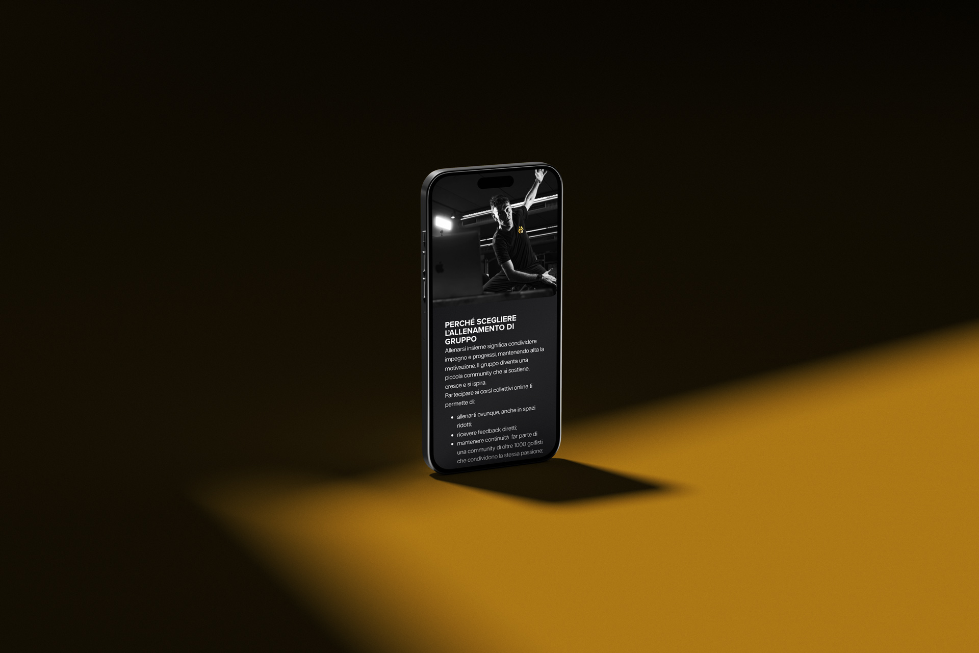 Sezione del sito web di Sergio Manenti